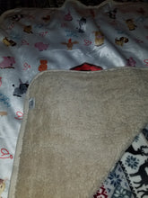 Custom Baby-Toddler Blanket