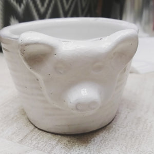 Pig Terra Cotta Pot